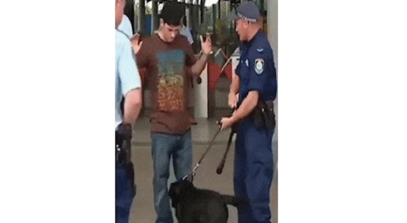 Policijski pas ga je počeo njušiti, ono što je izvukao iz hlača nasmijalo je policajce