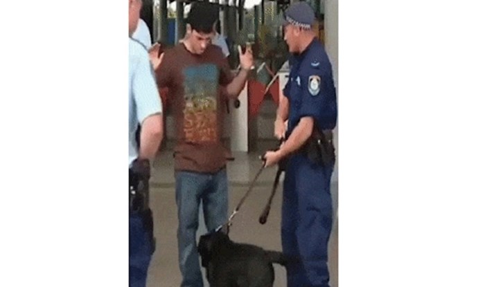 Policijski pas ga je počeo njušiti, ono što je izvukao iz hlača nasmijalo je policajce