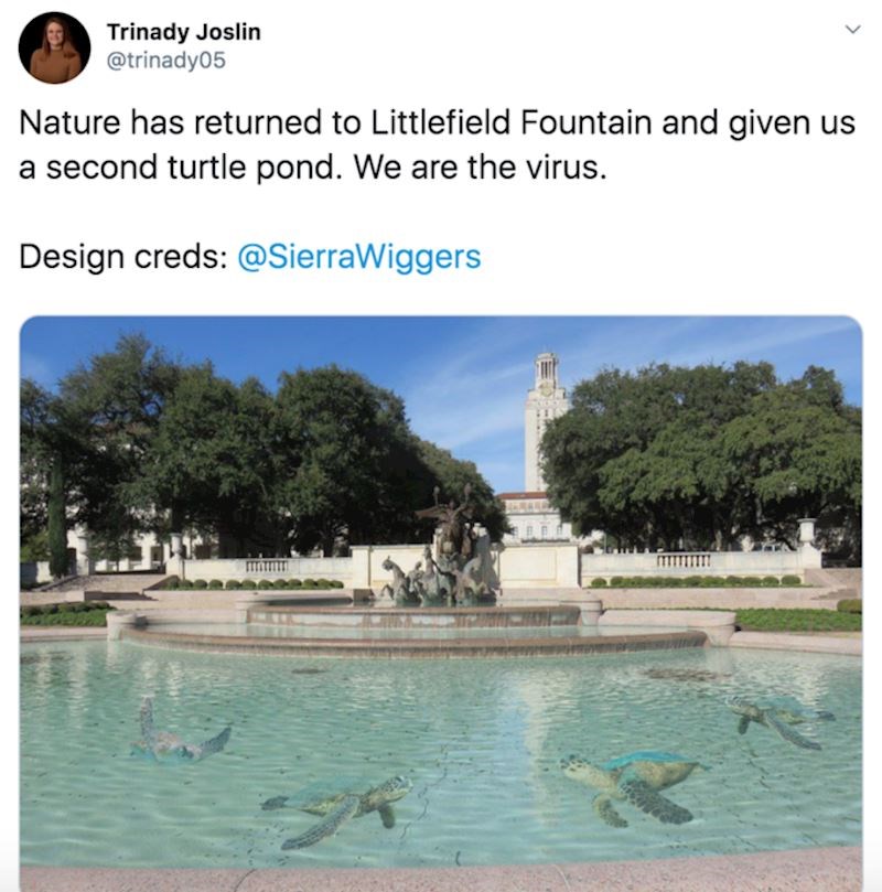 I u fontanama se mogu pronaći životinje...