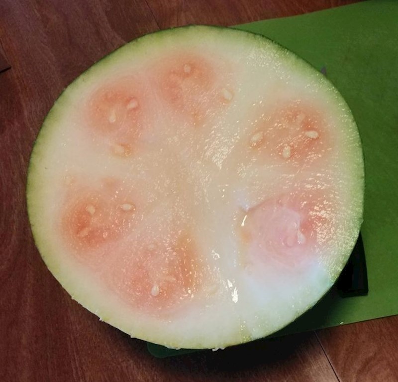 Ovo je prava katastrofa...