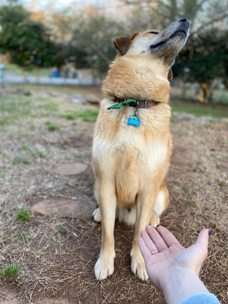 Slijedi smjernice o rukovanju :D