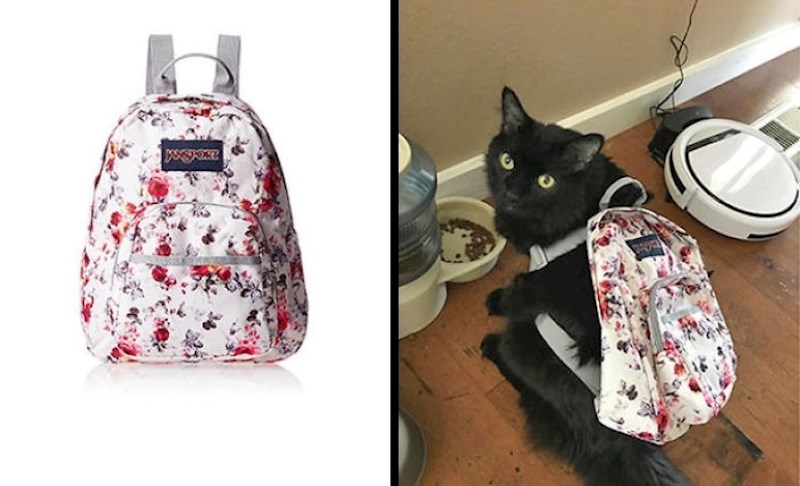 "I tako je naša mačka dobila ruksak"