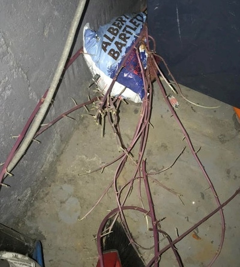 "Pronašao sam zaboravljenu vreću krumpira..."