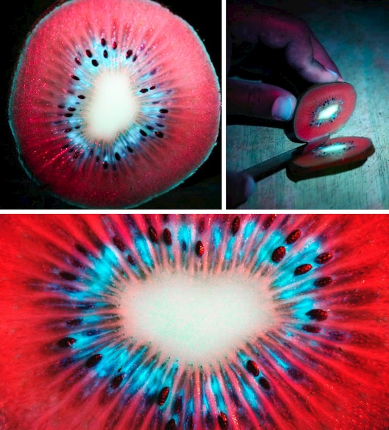 Kivi pod UV svjetlima