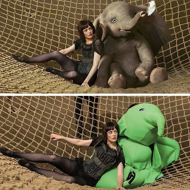 Evo kako Dumbo izgleda u stvarnosti