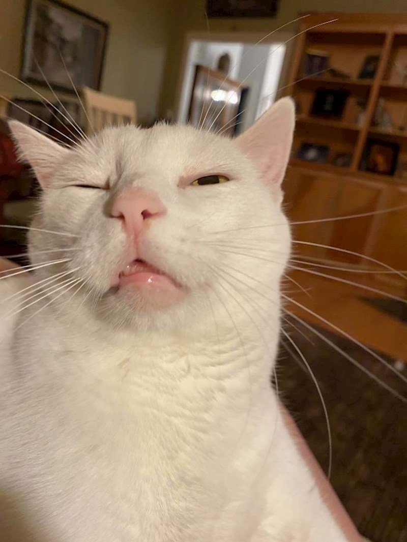 Kad zaboraviš naočale: