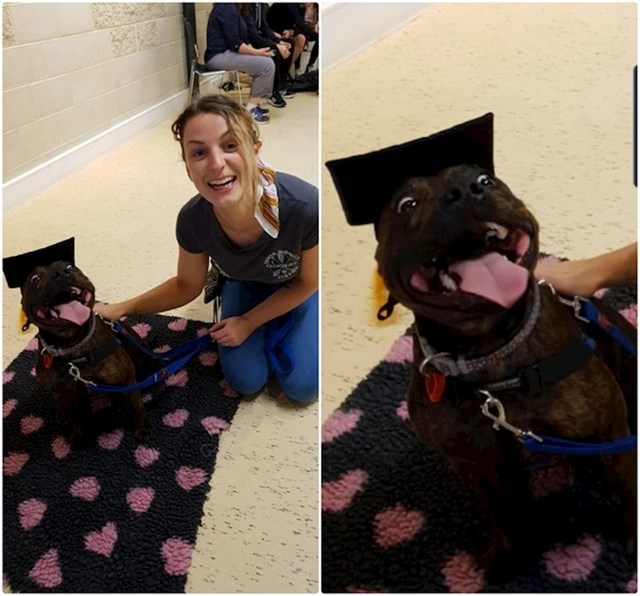 Ovaj pas je diplomirao u psećoj školi i jako je uzbuđen zbog toga :)