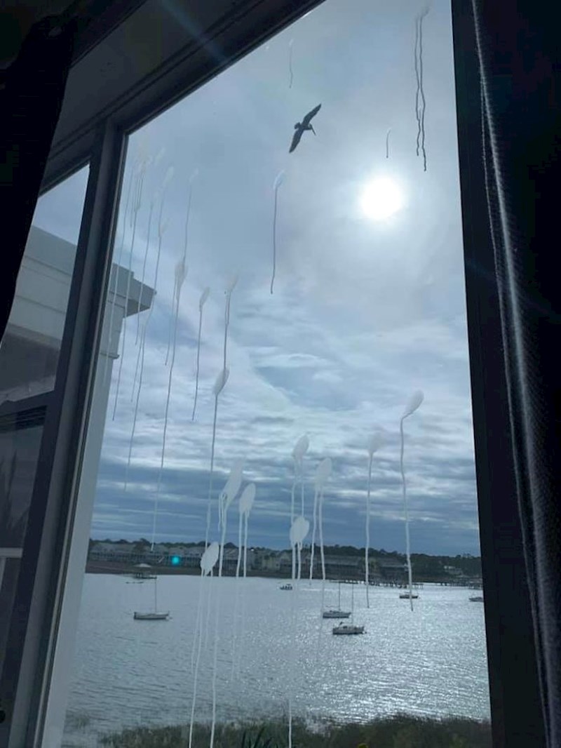 A mogla je to biti divna fotografija...