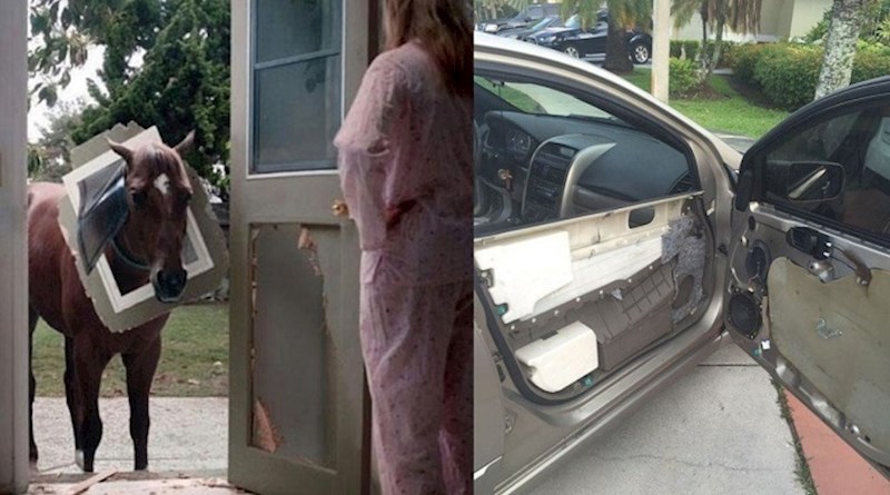 22 ljudi koji bi sve dali da su dan kada su im se dogodile ove katastrofe prespavali