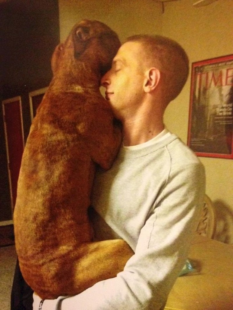 "Moj prijatelj je tijekom mračnog perioda života udomio psa iz azila. Pitam se tko je koga spasio"