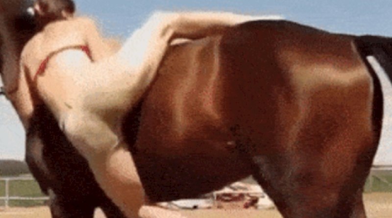 Cura se htjela snimati kako jaše konja, ali konj je ispao pametniji od nje