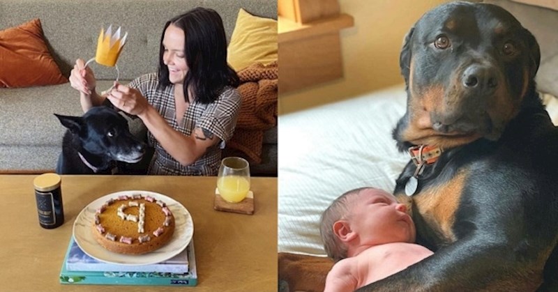 Fotke ljubimaca i njihovih vlasnika zbog kojih ćete se potpuno rastopiti