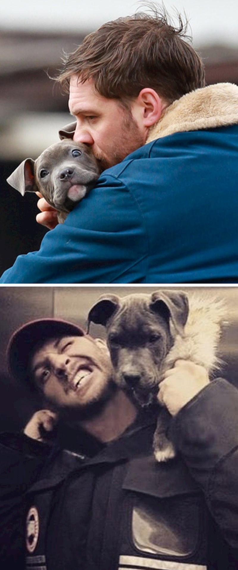 Tom Hardy i Rocco (Prljavi novac)