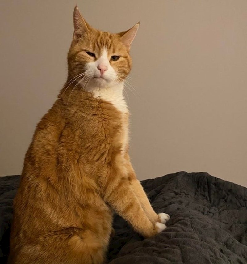 "Slučajno sam ju probudio..."