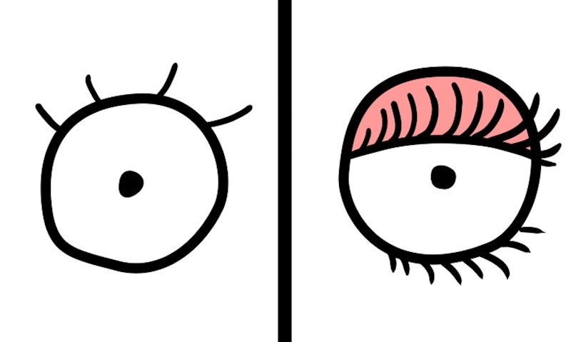 Kako izgledaju tvoje trepavice i kako izgledaju trepavice tvoga dečka: