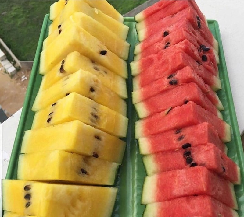 "Danas sam saznao da postoji žuta lubenica..."