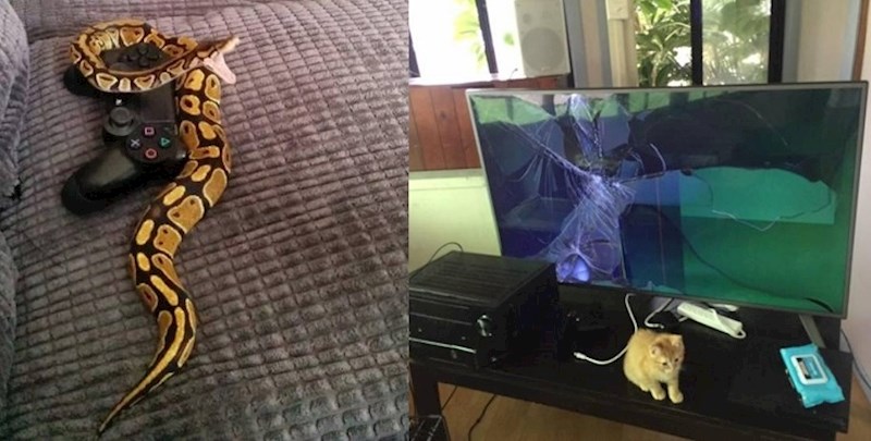 Fotke ljudi koji su imaju najgori dan ikad