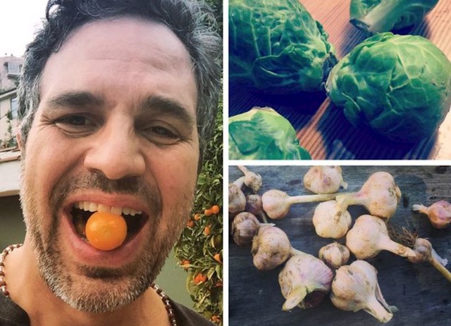 Mark Ruffalo