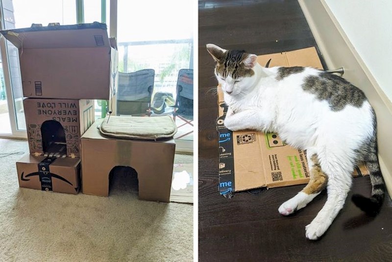 "Toliko truda za ništa..."