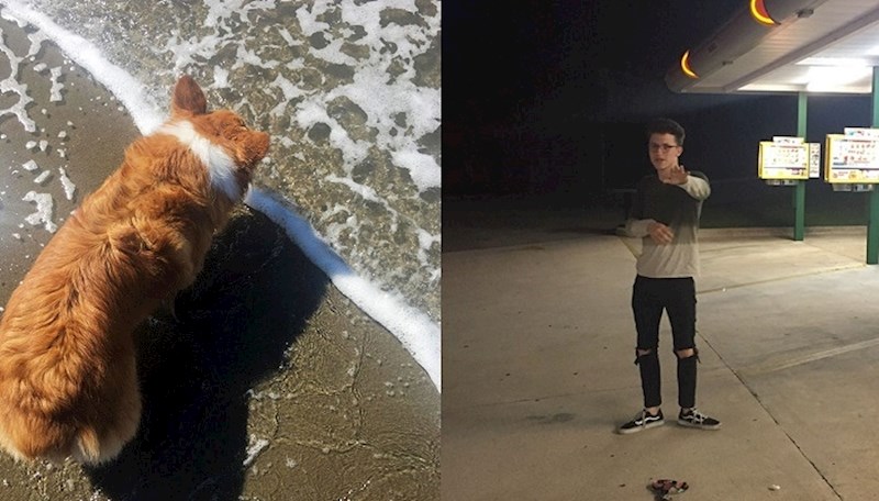 20 nevjerojatnih i savršenih fotki koje jednostavno morate vidjeti