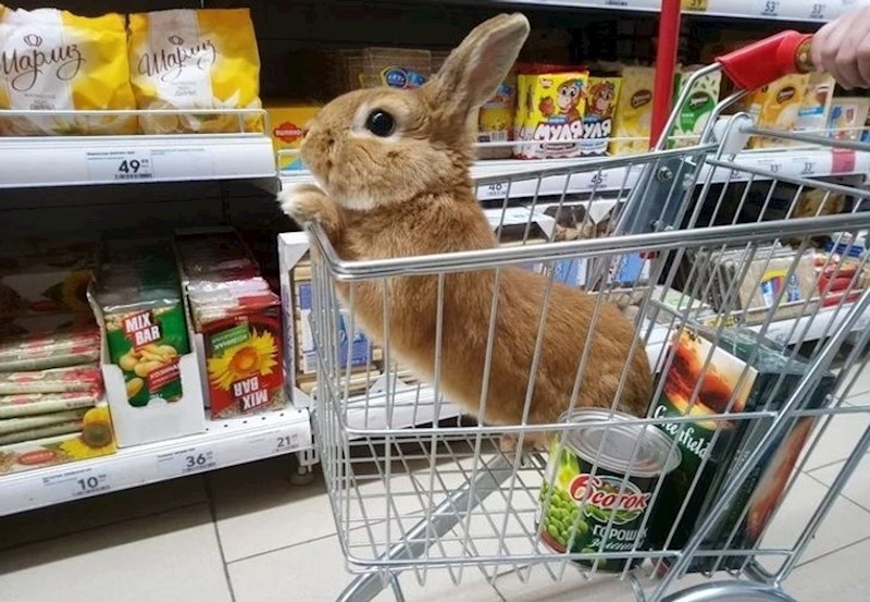 Ovaj mališan ima 6 godina i voli se igrati s djecom