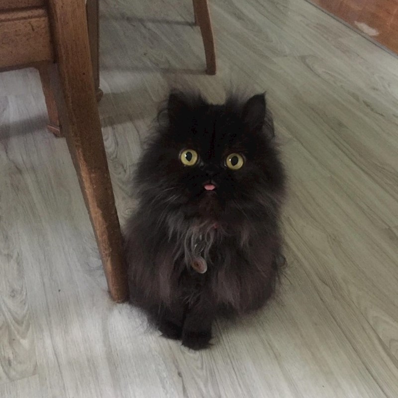 Njeno ime je October