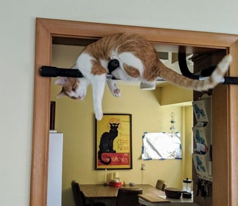 "Ogrebe mi glavu svaki put kada ulazim u kuhinju"