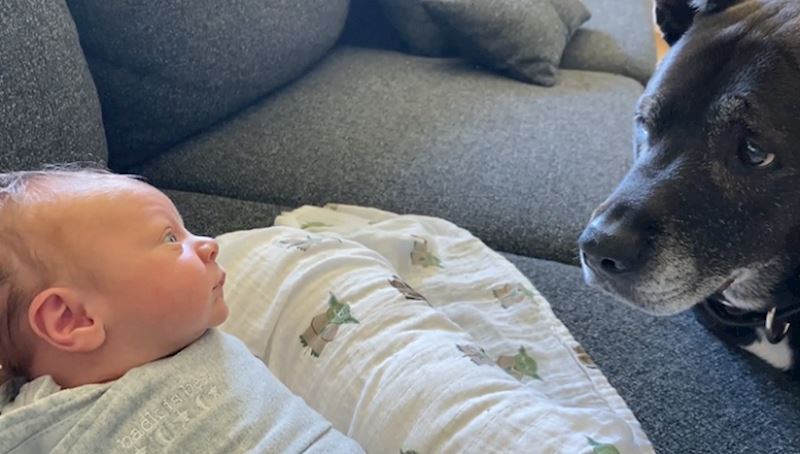 Zbog ovih preslatkih fotki sigurno ćete poželjeti udomiti kućnog ljubimca