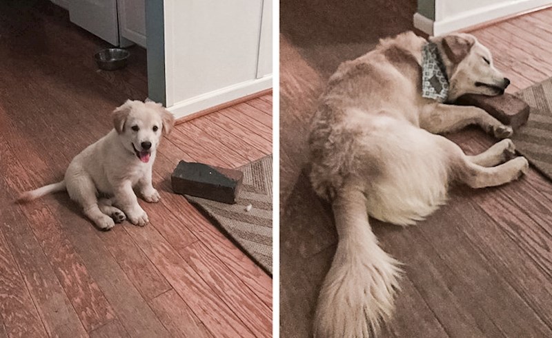 "Iz nekog razloga, ova cigla najbolja mu je prijateljica!"