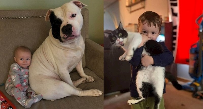 Kućni ljubimci najbolji su prijatelji djece, a ove preslatke fotke to i dokazuju