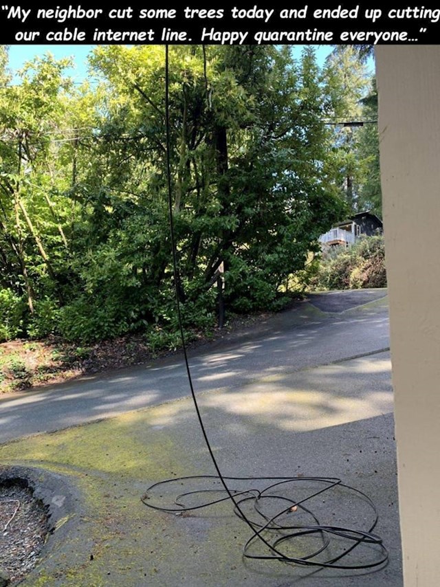"Moj je susjed rezao stabla i prerezao nam žicu od interneta. Sretna nam karantena!"