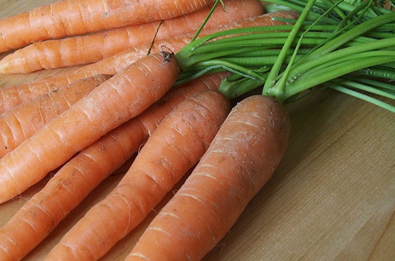 Mrkva kakvu mi poznajemo