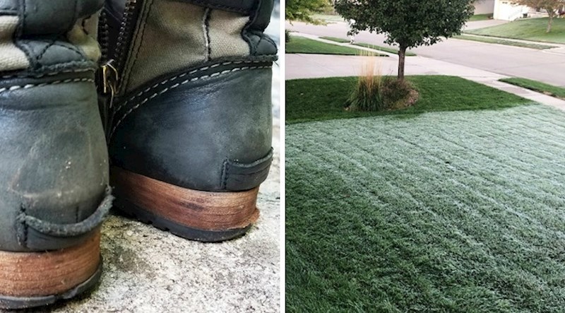 15 fotografija koje mogu odgonetnuti samo oni sa savršenim okom za detalje