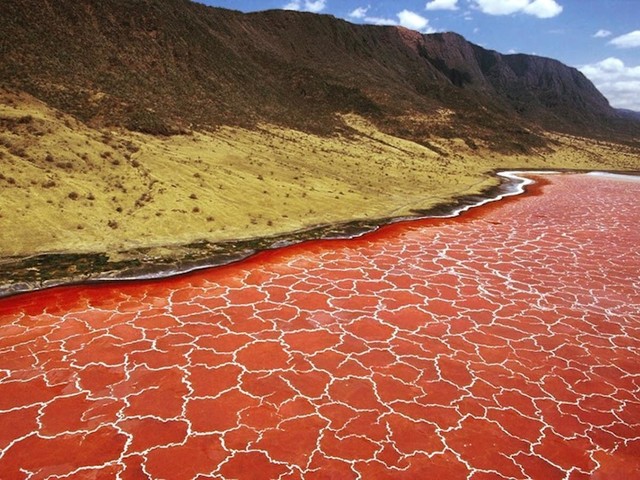 Površina jezera Natron u Tanzaniji