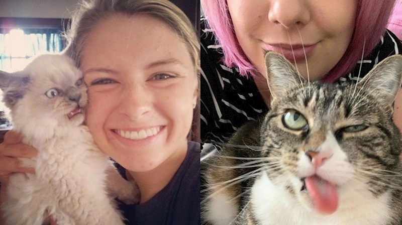 Mačke kojima njihovi vlasnici jako idu na živce