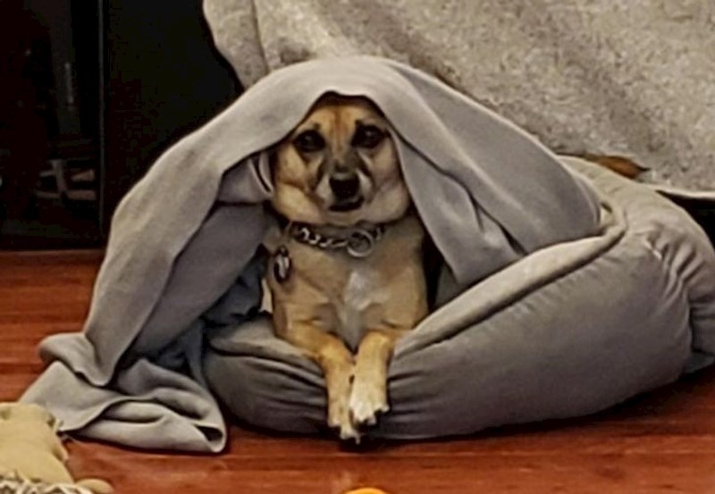 "Gledao je u nas dobrih 25 minuta..."