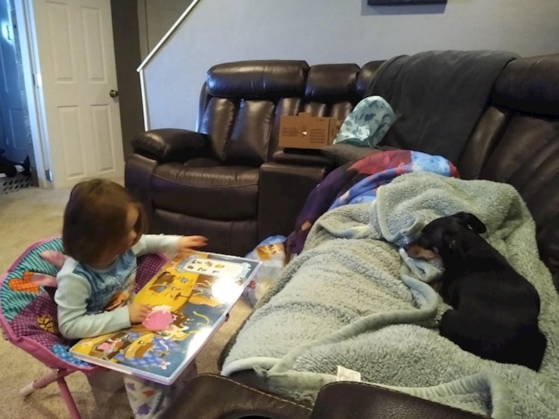 Curica "čita" knjigu ozlijeđenom psu