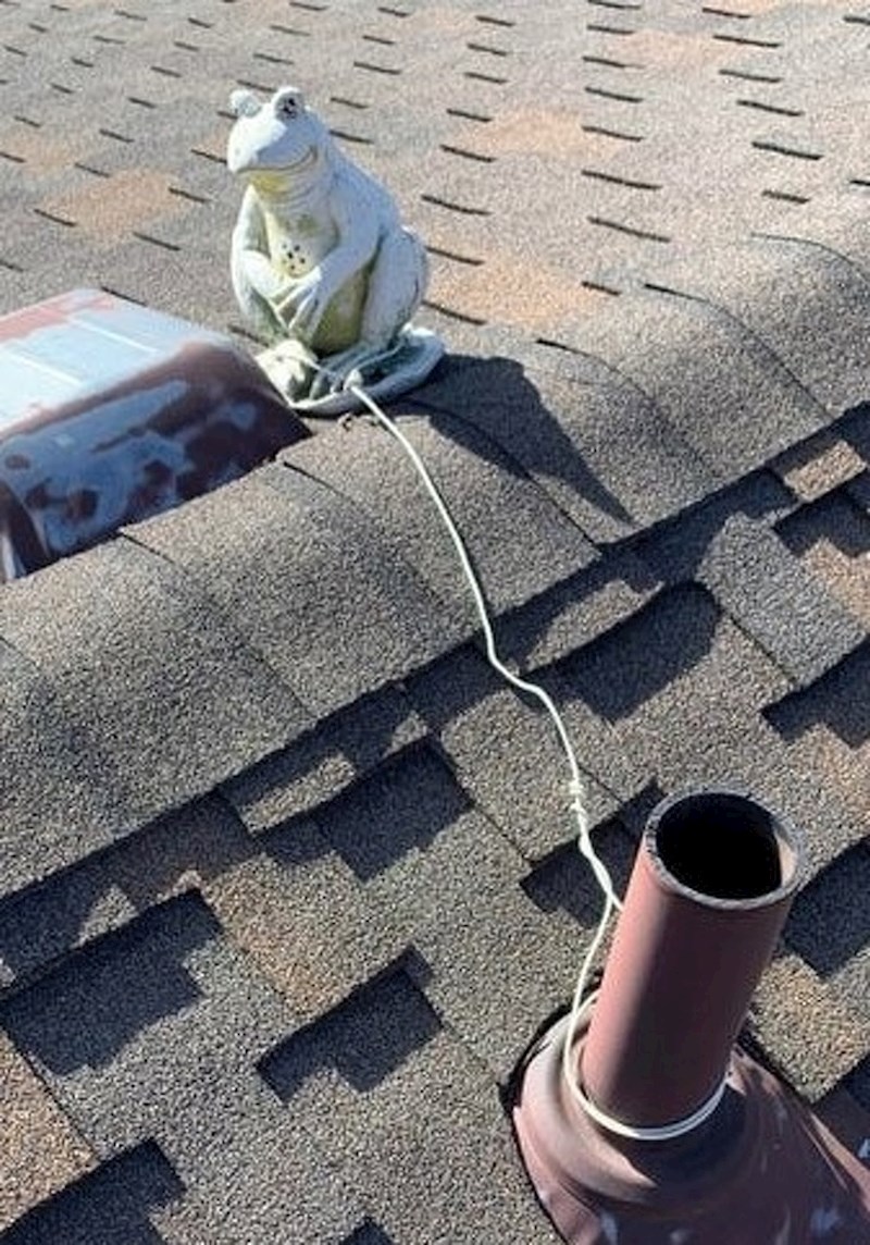 "Našao sam kip žabe vezan na krovu kuće koju smo upravo kupili"