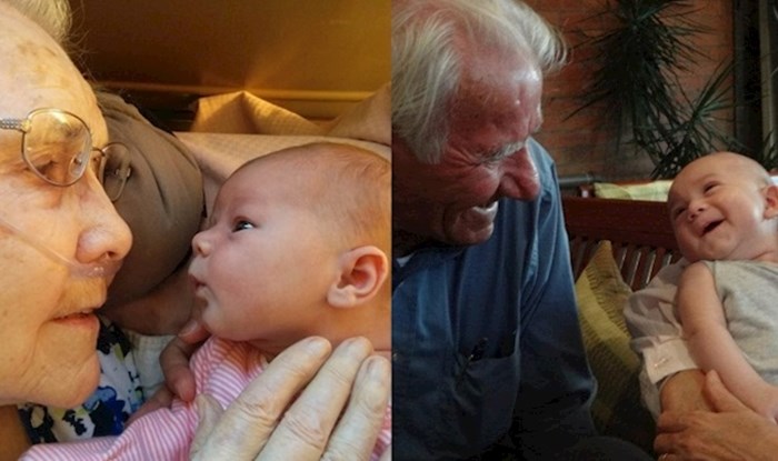 12 fotki koje pokazuju predivnu povezanost između unučadi i njihovih baka i djedova