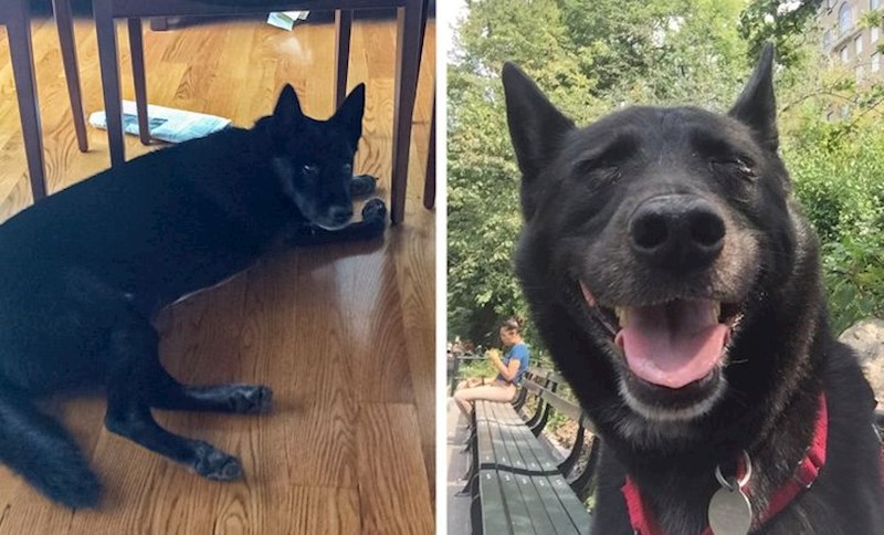 Prvi dan i nakon 5 godina od posvojenja