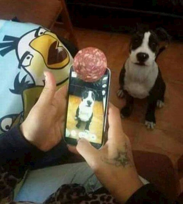 Hrana uvijek pali 😀