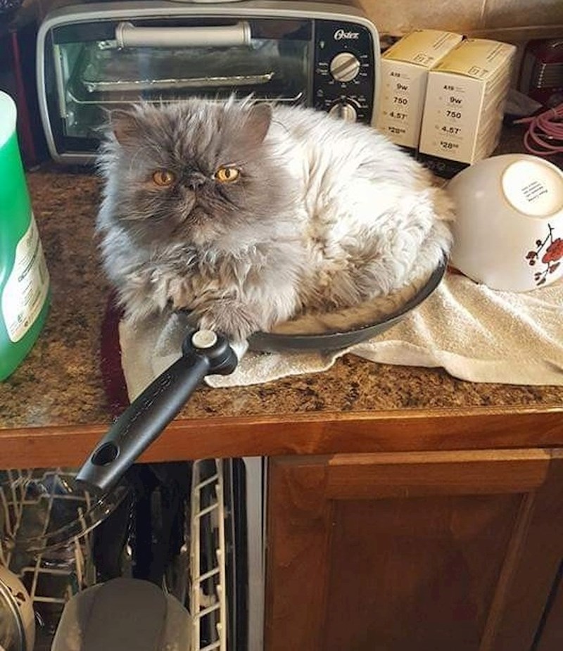 "A tek sam oprala tavu..."