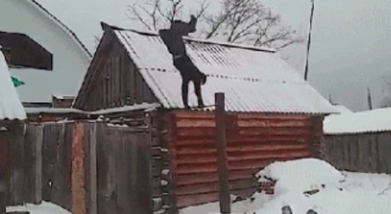 Lik je glumio akrobata, ali mu se to prilično bolno obilo o glavu