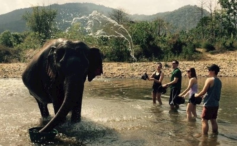 Vidite li još jednog slona?