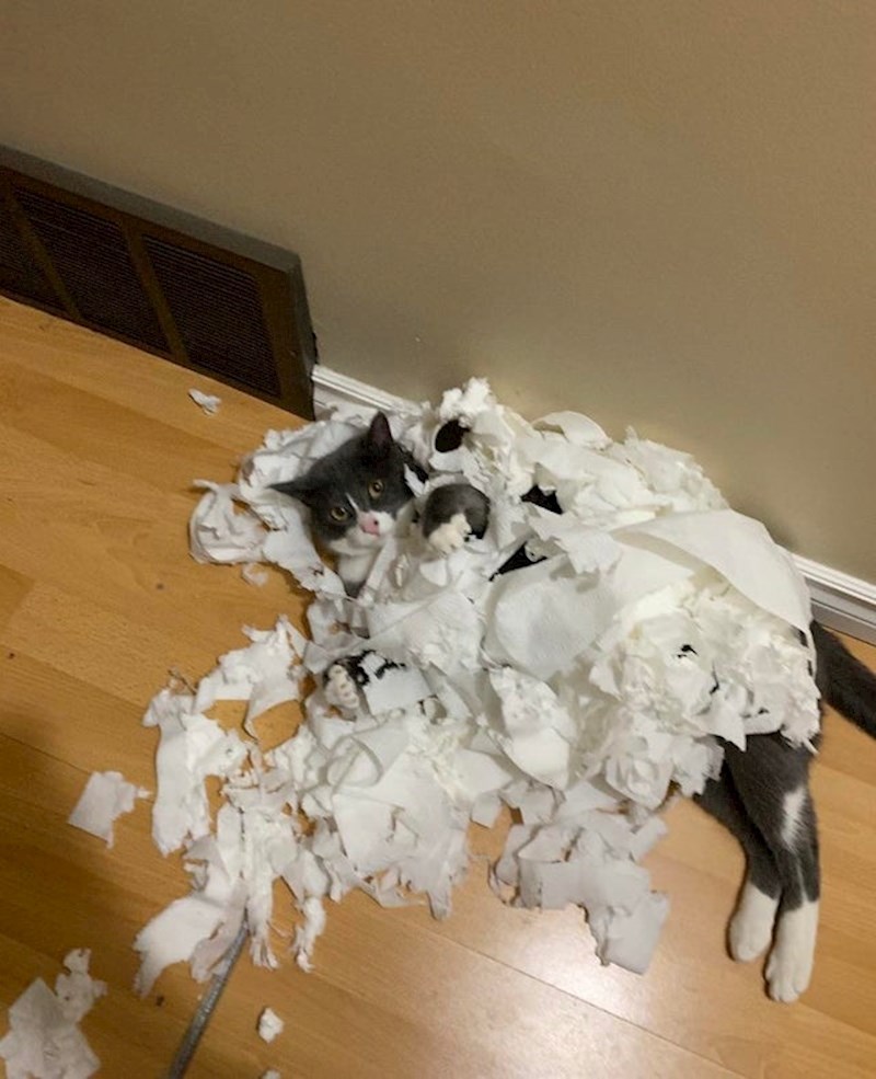 Uhvaćen na djelu! :D