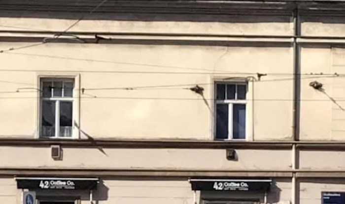 Na fasadi zgrade u Draškovićevoj ulici u Zagrebu osvanuo je znakovit natpis