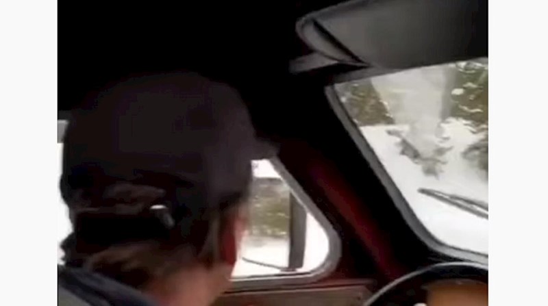 Sjedili su u autu kada je pored njih prošlo nešto zastrašujuće