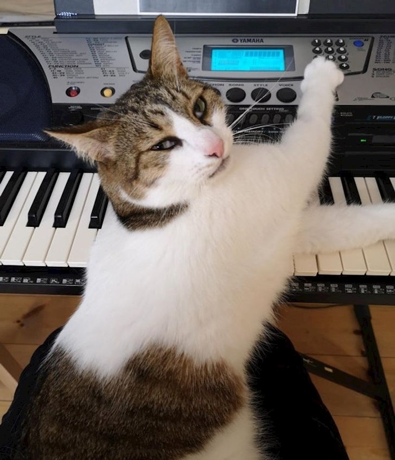 "Sada ću ja malo svirati"