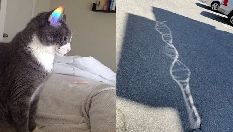 Genijalne fotke uhvaćene u najboljem trenutku