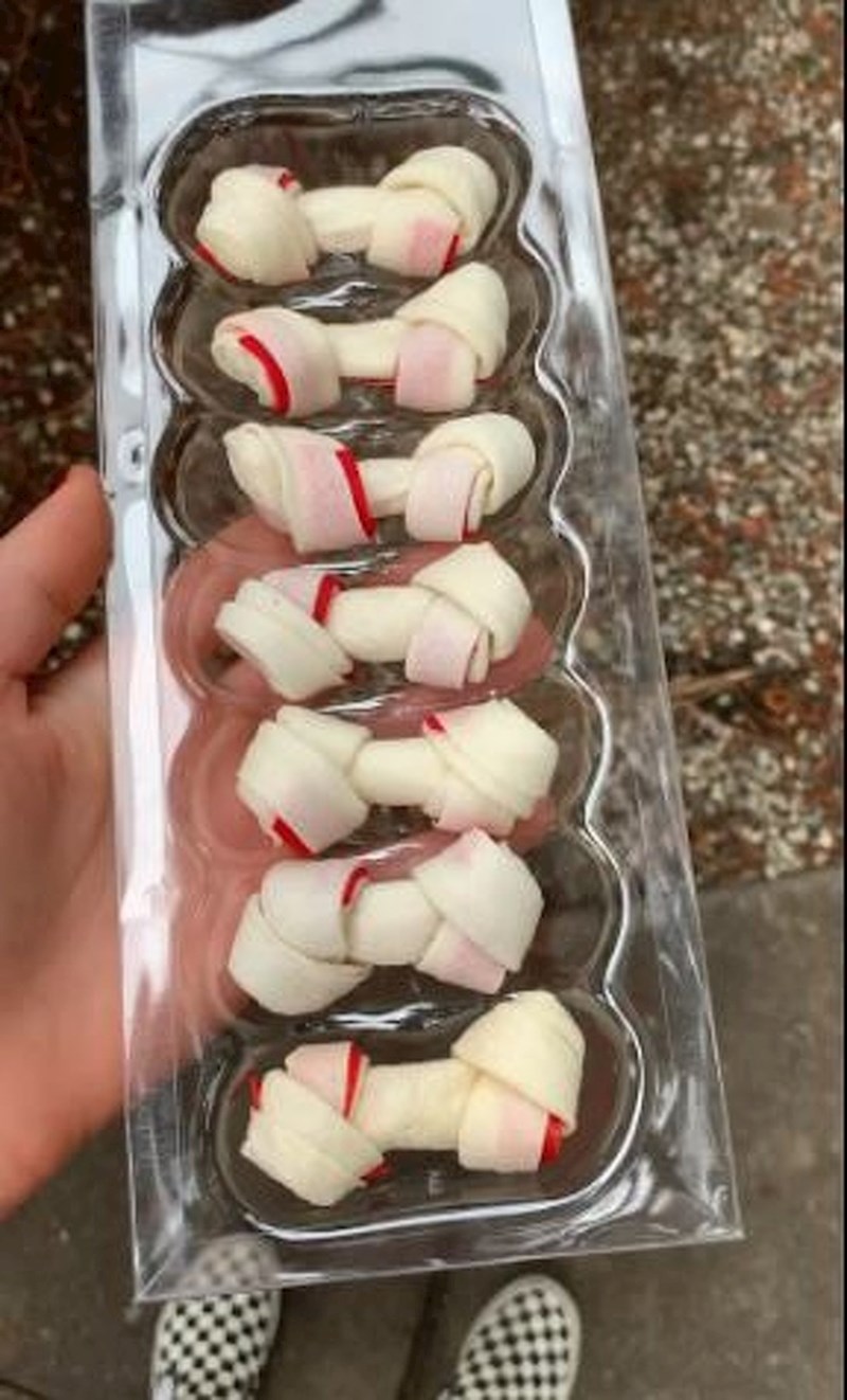 Muž i ja nemamo djece, pa smo za Uskrs svojim psima organizirali traženje "jaja"